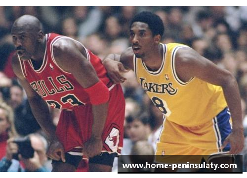 NBA明星脱发揭秘：球场风采与头发困扰的终极探讨