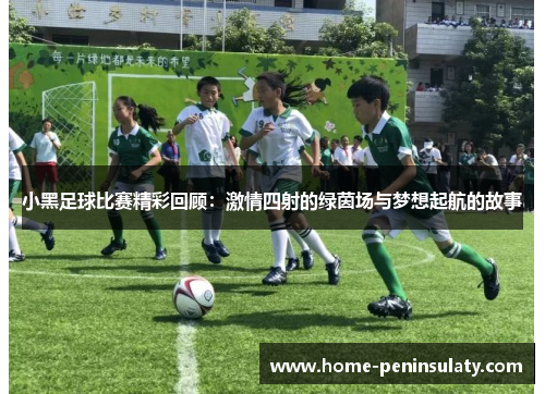 小黑足球比赛精彩回顾：激情四射的绿茵场与梦想起航的故事